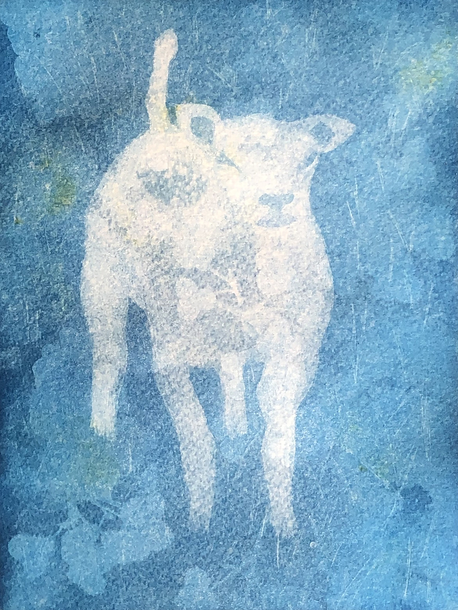 Judy_Arends_Texelaartje