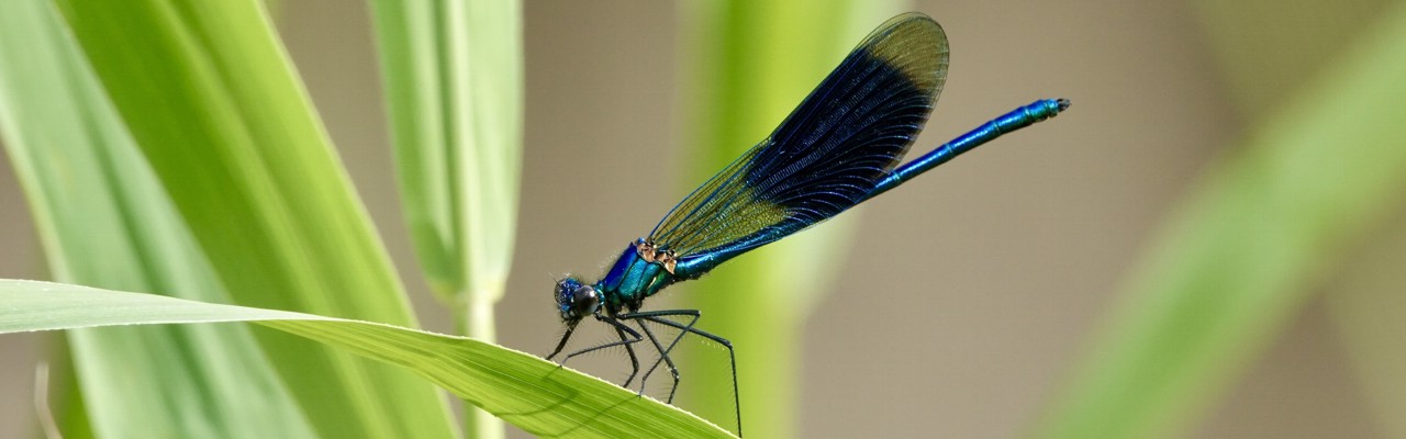 banner Gerda Bekker Visser